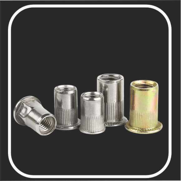 TORNILLOS Y TUERCAS REMACHABLES