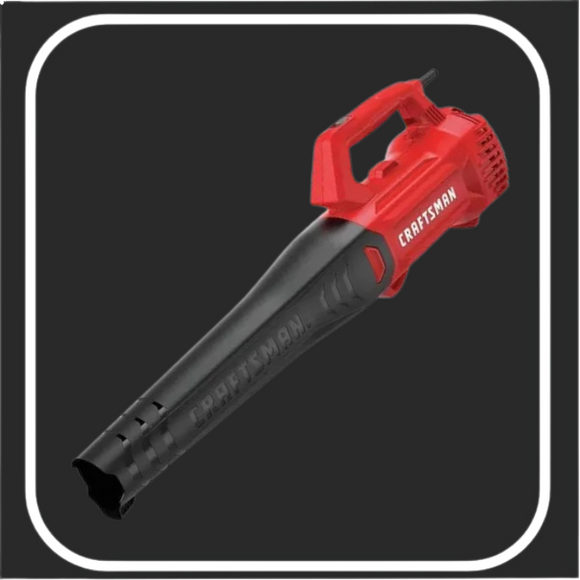 SOPLADORA ELECTRICAS