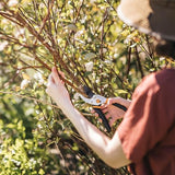Tijeras de podar de derivación Herramientas de jardinería:, hoja de acero afilada, cortadoras de plantas de 5/8 pulgadas (91095935J)