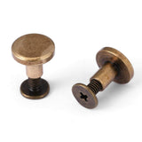 🔩 20Pcs Remaches de cuero planos Tornillos de fijación de Chicago Postes Kit de surtido para álbumes de fotos Álbumes de fotos Reparación de cuero(8mm)