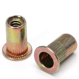 Woopais Juego de 100 Tuercas de Remache Roscadas de Acero al Carbono SAE 5/16-18, 5/16-18UNC