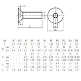 PZRT - 12 tornillos hexagonales hexagonales avellanados de acero inoxidable A2-70 tornillos de cabeza plana Allen M5 x 10, tono plateado