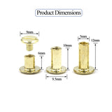 🔩 Alloygold Juego de 75 tornillos de encuadernación dorados Chicago surtidos, 3 tamaños de tornillo redondo de cabeza plana, remache de clavo, botón Chicago para manualidades, decoración de cuero, encuadernación (M5 x 6, 10, 12)