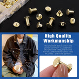 🔩 Glarks 110 juegos de 6 tamaños de tornillos Chicago remaches de piel con punzón y kit de destornillador, M5 x 4/5/6/8/10/12 mm Chicago Button Binding Poste Tornillo Remaches de Uñas para DIY piel Artesanía Librería (dorado)