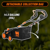 WEN DT1516 Dethatcher y escarificador eléctrico 2 en 1 de 16 Pulgadas, 15 amperios con Bolsa de colección, Color Negro