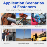 🔩 Walfront 800 Piezas M2 Tornillos Autorroscantes Tornillos de Cabeza Cruzada Tornillos de Cabeza plana Sujetadores Tornillos de Madera de Aglomerado de Rosca Automática Conjunto Surtido