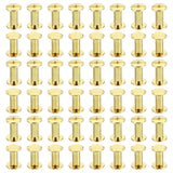 🔩 PATIKIL 50 Juegos Chicago Tornillos de Unión Phillips M5X12mm Remaches de Cuero Sujetadores de Latón Conectores de Acero para Cuero Cinturones Fotos Recortes Álbumes Dorados