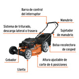 Cortadora de césped motor a gasolina 22", 6 HP