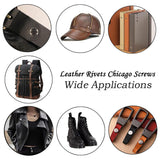 🔩 Alloygold - Juego de 50 tornillos M5 x 8 de bronce Chicago - Remaches de piel, remaches de piel, botones de rosca Chicago