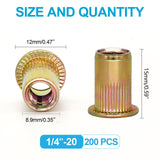 🔩 Trivd Frol - Juego de 200 tuercas de remache UNC de 1/4 a 20 unidades, acero al carbono chapado en zinc