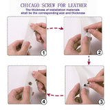 🔩 Alloygold - Juego de 50 tornillos M5 x 8 de bronce Chicago - Remaches de piel, remaches de piel, botones de rosca Chicago