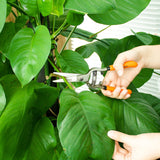 Tijeras de Podar para Jardineria 8" Tijera de Podar Profesionales de Acero Carbono Corte Afiladas Tijera de Jardin Ergonómicas y Ligeras, SW-8120005