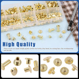 🔩 Glarks 110 juegos de 6 tamaños de tornillos Chicago remaches de piel con punzón y kit de destornillador, M5 x 4/5/6/8/10/12 mm Chicago Button Binding Poste Tornillo Remaches de Uñas para DIY piel Artesanía Librería (dorado)