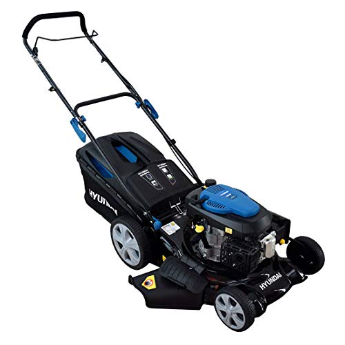 Cortadora Gasolina 6.5 Hp Con Bolsa 20pulg Hylm6520n. Hyundai