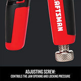 - Alicates, 1 unidad CRAFTSMAN