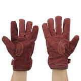 Drfeify Guantes Resistentes Al Calor Ignífugos Ignífugos No Escaldables para Parrilla de Barbacoa Cortos, 2 Farben, 1 Par/Juego(Rojo)