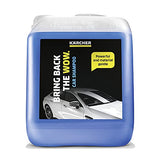 ▶ KARCHER  Detergente Shampoo para Autos 5 Litros