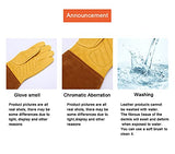▶ Guantes de jardinería, guantelete de protección larga para mujeres y hombres, guantes largos de cuero vacuno gruesos duraderos, poda de cactus rosa y arbustos espinosos (dorado, grande)