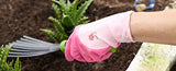 ▶ Guantes Jardinería para mujer con revestimiento de látex de nailon y microespuma, agarre texturizado, paquete de 3 pares