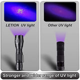 Linterna UV de luz negra, linterna UV LED 2 en 1, luz negra UV con 500 lúmenes, 4 modos, impermeable para ropa de mascotas, detección de hongos, pesca nocturna, viajes