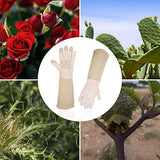 ▶ Guantes de jardinería de piel de manga larga, guantelete floral poda rosa para mujeres y hombres