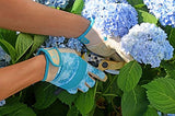 ▶ Guantes de jardinería y trabajo de alto rendimiento para mujer DIGZ Gardener con puntas de los dedos compatibles con pantalla táctil