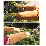 ▶ Guantes de jardinería, guantelete de protección larga para mujeres y hombres, guantes largos de cuero vacuno gruesos duraderos, poda de cactus rosa y arbustos espinosos (dorado, grande)