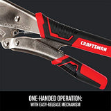 - Alicates, 1 unidad CRAFTSMAN