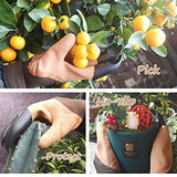 Guantes de garra para dedos de jardín, seguros y cómodos para cavar y plantar, 2 pares de regalos sorprendentes para mujeres y hombres, H-Times