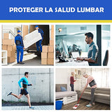 FITTOO Faja Lumbar Cinturón de Baja de Espalda Soporte Lumbar para la Espalda con Dobles de Ajuste para Hombres Mujeres (Large)