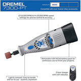 ▶ DREMEL  - Kit de 4.8 V para lijado de uñas de mascotas
