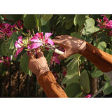 ▶Guantes jardineria largos de poda para hombres y mujeres, guantes de jardinería de piel de cerdo, transpirables y duraderos (mediano, marrón)