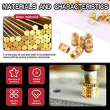 💢  Hilitchi 60 tuercas moleteadas de latón roscadas con calor para imprimir impresoras 3D y más proyectos (M4 x 10 x 6)