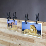 ▶ AMAZON BASICS Juego de abrazaderas de resorte de nailon de 14 piezas, 6 piezas de 3-3/8 pulgadas, 4 piezas de 4-1/2 pulgadas, 4 piezas de 6-1/2 pulgadas