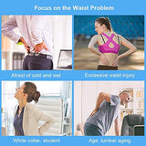 ▶ Cinturón de protección Lumbar para hombres y mujeres (gris-l Talla)