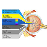 ▶ Gafas de seguridad láser 355nm 532nm Protección anti láser Gafas de nieve OD6 + CE Gafas protectoras para máquina de grabado de corte láser UV y verde Estilo B