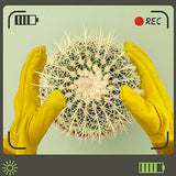 ▶ Guantes de jardinería, guantes largos de jardinería, guantes de jardín de trabajo de cuero, guantes de jardín para mujeres, guantes de jardinería para hombres, guantes de trabajo de cuero vacuno grueso y duradero. (Grande, amarillo)