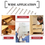 💢 Hilitchi - Tornillos de cabeza avellanada de remache M6 x 20/30 / 40/50 / 60/70 / 80 mm, surtido de tuercas de barril para muebles