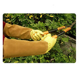 ▶ Guantes de jardinería, guantelete de protección larga para mujeres y hombres, guantes largos de cuero vacuno gruesos duraderos, poda de cactus rosa y arbustos espinosos (dorado, grande)