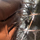 Guantes de piel para podar de jardinería a prueba de espinas para mujeres y hombres, guantes de rosa extralargos de jardinería, guantes de alta calidad de piel vacuna, guantes protectores transpirables resistentes a las espinas