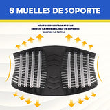 FITTOO Faja Lumbar Cinturón de Baja de Espalda Soporte Lumbar para la Espalda con Dobles de Ajuste para Hombres Mujeres (Large)