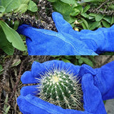 ▶ Guantes de jardinería profesionales a prueba de espinas GLOSAV para mujeres y hombres, poda de rosa y corte de cactus, guantes de jardín de manga larga resistentes, de piel de vaca (pequeño, azul)