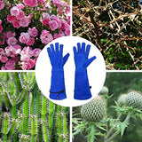 ▶ Guantes de jardinería profesionales a prueba de espinas GLOSAV para mujeres y hombres, poda de rosa y corte de cactus, guantes de jardín de manga larga resistentes, de piel de vaca (pequeño, azul)