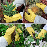 ▶ Guantes de jardinería para mujeres / hombres, guantes de cactus a prueba de espinas,