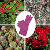 ▶ Guantes de jardinería  de piel para mujer, a prueba de torceduras, guantes de jardinería de alta resistencia, longitud del codo, guantes de poda de rosas