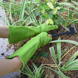 ▶ Guantes Jardinería  de poda de rosas para mujer, guantes de jardinería de cuero de vaca a prueba de espinas de manga larga, guantes de jardín (grande, verde)
