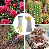 ▶ Guantes de jardinería para mujeres / hombres, guantes de cactus a prueba de espinas,