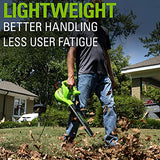 ▶  Greenworks Soplador de 2 velocidades de 9 amperios (170 CFM/180 mph) 2401502